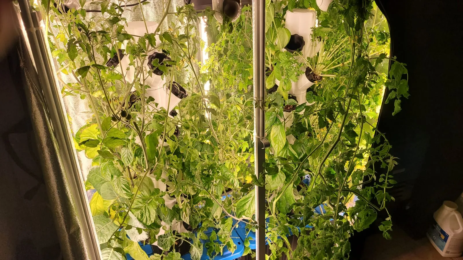Vertical hydroponic towers full of lush green growth under the lights